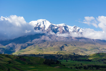 beautiful vicuñas in the chimborazo 