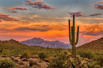 Fotobehang Arizona Sonora zonsondergang