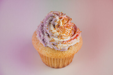 Cupcake with pink and purple icing swirl