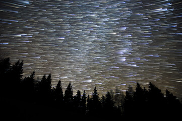 Star trails in the night sky in the forest