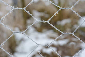 A thin metal fence is covered with frost and ice crystals, against a blurred background in nature