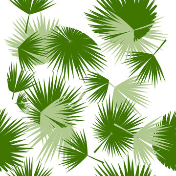 Palm leaves have a seamless background. Vector illustration