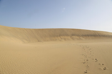 sand dunes in the desert