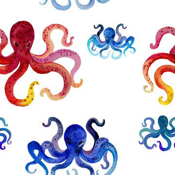 Watercolor hand drawn seamless pattern with octopus in red color with spots. Red and blue color octopus tentacles. Animal in cartoon style. Design for covers, backgrounds, decorations.