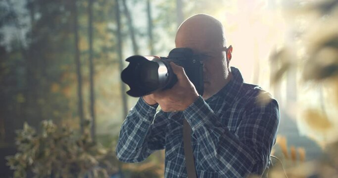 Wildlife photographer shooting in a forest