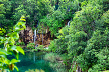 waterfall in the forest