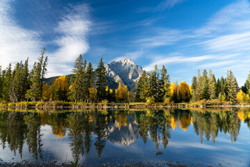 Banff National Park beautiful natural scenery in autumn. Cascade Mountain and colorful yellow and green trees reflected on Bow River like a mirror in a sunny day. Town of Banff, Canadian Rockies. 