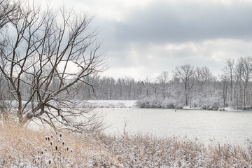 A small lake in rural Indiana in winter with a light snow on the ground