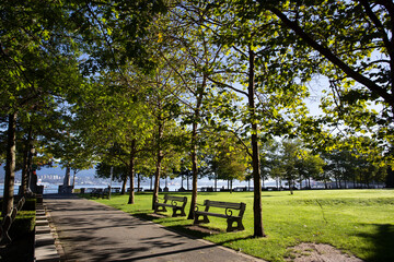 bench in the park with views of mountain and trees sunny day seawall sidewalk green grass