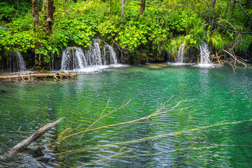 Submerged tree trunks and green mossy hill with waterfalls falling in to turquoise pond. Plitvice Lakes National Park UNESCO World Heritage, Croatia