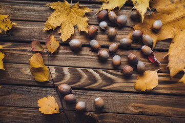 Hazelnuts are scattered on a wooden table. Useful nuts concept. Yellow autumn leaves on a wooden background.