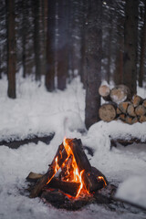 Bonfire in the winter in the forest.