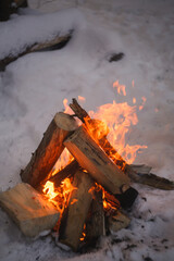 Bonfire in the winter in the forest.