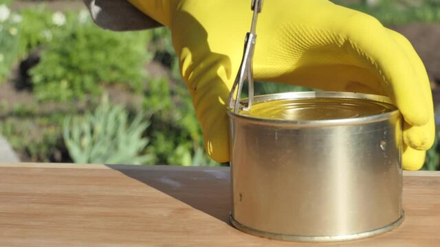 Self-isolation. A man in yellow gloves opens a tinned fish with a can opener against a background of blooming flowers. Closeup.