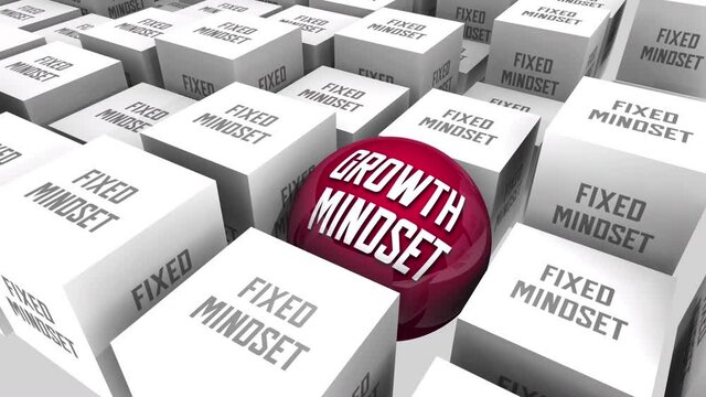 Growth Vs Fixed Mindset Learning Intelligence Unique Personal Growth 3d Animation
