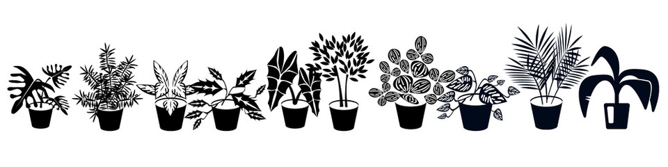Black and white plants in a line.