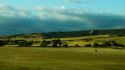 Fototapeta premium landscape with a field
