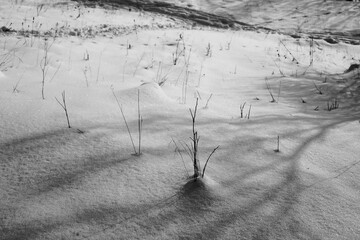 Surface of pure white snow.Black and white photo.
