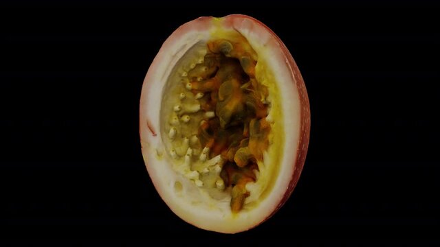Realistic render of a spinning cut Passion Fruit on transparent background (with alpha channel). The video is seamlessly looping, and the 3D object is scanned from a real fruit.

