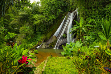Plakat View to waterfall in rainforest. Tropical landscape. Adventure and travel concept. Nature background. Slow shutter speed, motion photography. Antapan waterfall Bali, Indonesia