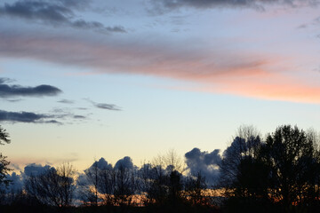 Colorful sunset sky in spring, in the foreground of black silhouettes of tree branches.