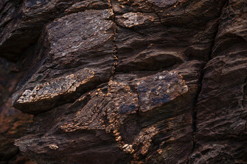 Dark brown stone texture