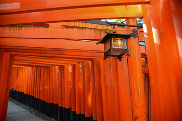 Older lantern at Fushimi Inari torii gates. 