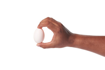 white egg in hand on white background