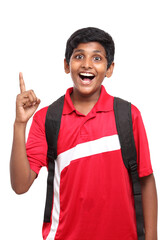 Cheerful Indian teen portrait.