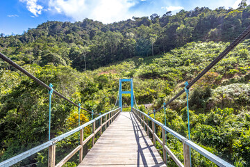Fototapeta na wymiar bridge in the jungle