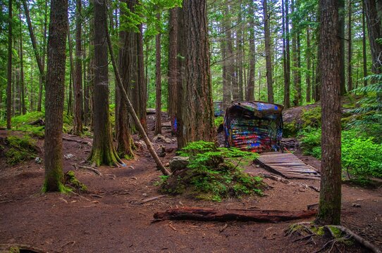 Whistler trainwreck