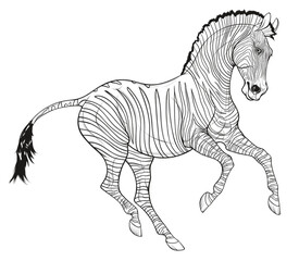 Galloping plains zebra pricked up its ears. Linear black and white illustration of a striped stallion. Vector emblem, design element for african wildlife tourism and coloring books.
