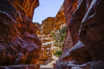 Jordan, on the way to Petra. Passing through the exceptional Siq. A sandstone gorge leading to the main entrance to Petra.