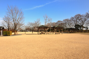 三重県松阪市　冬の芝生公園