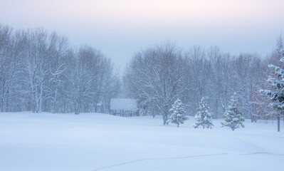 Winter landscape during a heavy snowfall