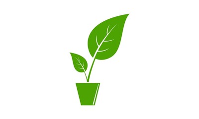 Plant in the vase vector design