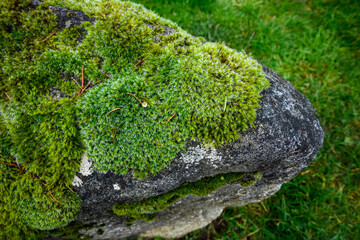 Rock covered in green mosses against a green grass background, as a nature background
