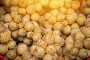 Longkong Thai fruit is on the market.