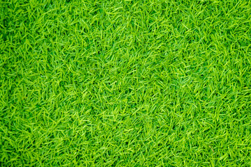 Green artificial grass natural