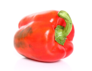 red bell pepper