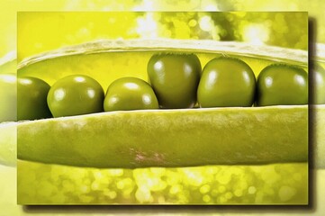 Pods of green peas. Imitation of a picture. Oil paint. Rendring