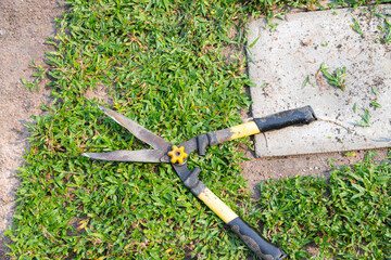 Obraz premium Grass shears on the green grass