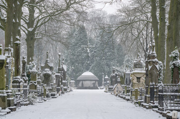 during snow in the cemetery