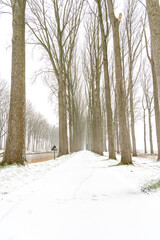 Towpath for cyclists and pedestrians during the winter