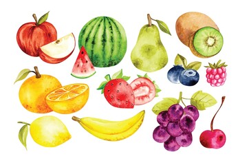 set of fruit in watercolor style vector illustration