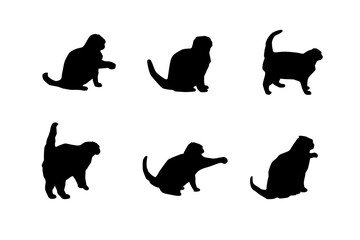 Silhouette of a cat on a white background. Vector illustration.