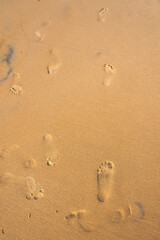 Fototapeta na wymiar Footprints on sand. Top view, backgrounds, selective focus.
