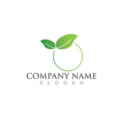 Logos of green Tree leaf ecology