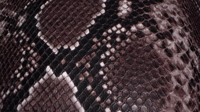 The texture of snakeskin. Brown animal leather pattern extra close up. Exotic skins clothing industry. Leather crafting