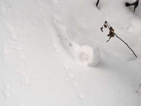 「まくり」の写真素材 35件の無料イラスト画像 Adobe Stock
